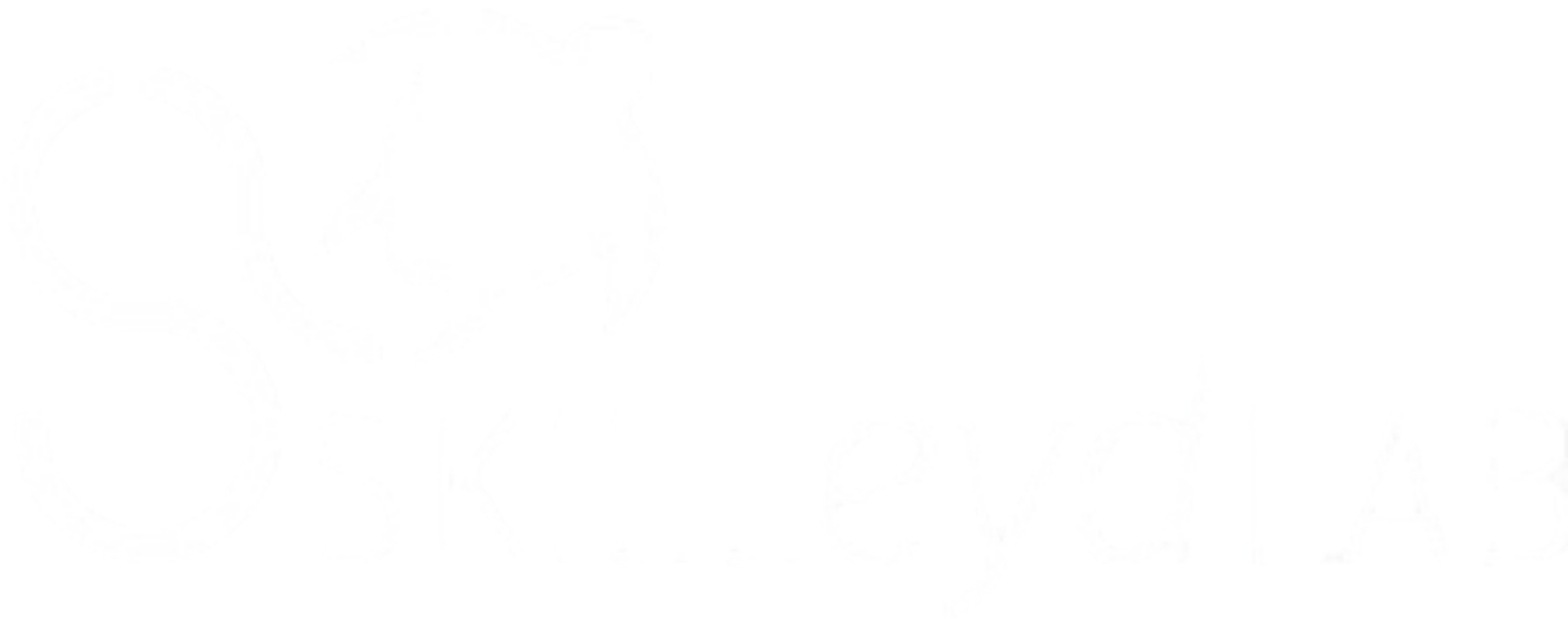 Skilleyd Lab